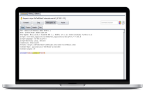 Burp Suite Professional Penetration Testing Tool | ESec Forte Technologies